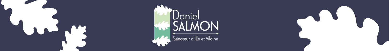 Daniel Salmon, Sénateur d'Ille et Vilaine