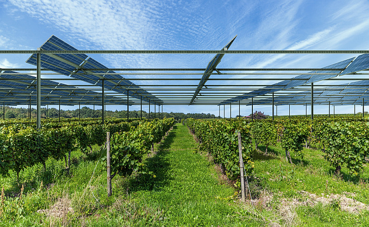 Débat sur le déploiement de l’agrivoltaïsme : un atout pour la transition énergétique, qui doit être encadré