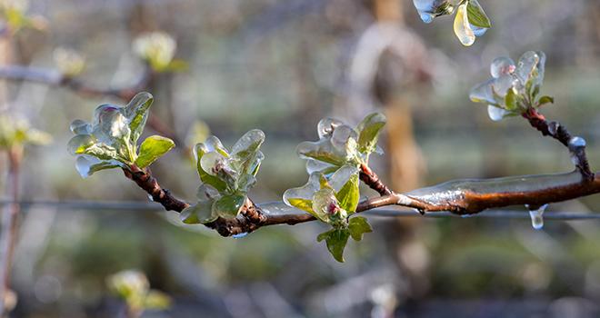 Projet de loi sur l’assurance récolte : un texte inadapté pour protéger les agriculteurs face aux aléas climatiques