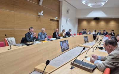 OPECST : présentation de nos travaux sur les réseaux électriques